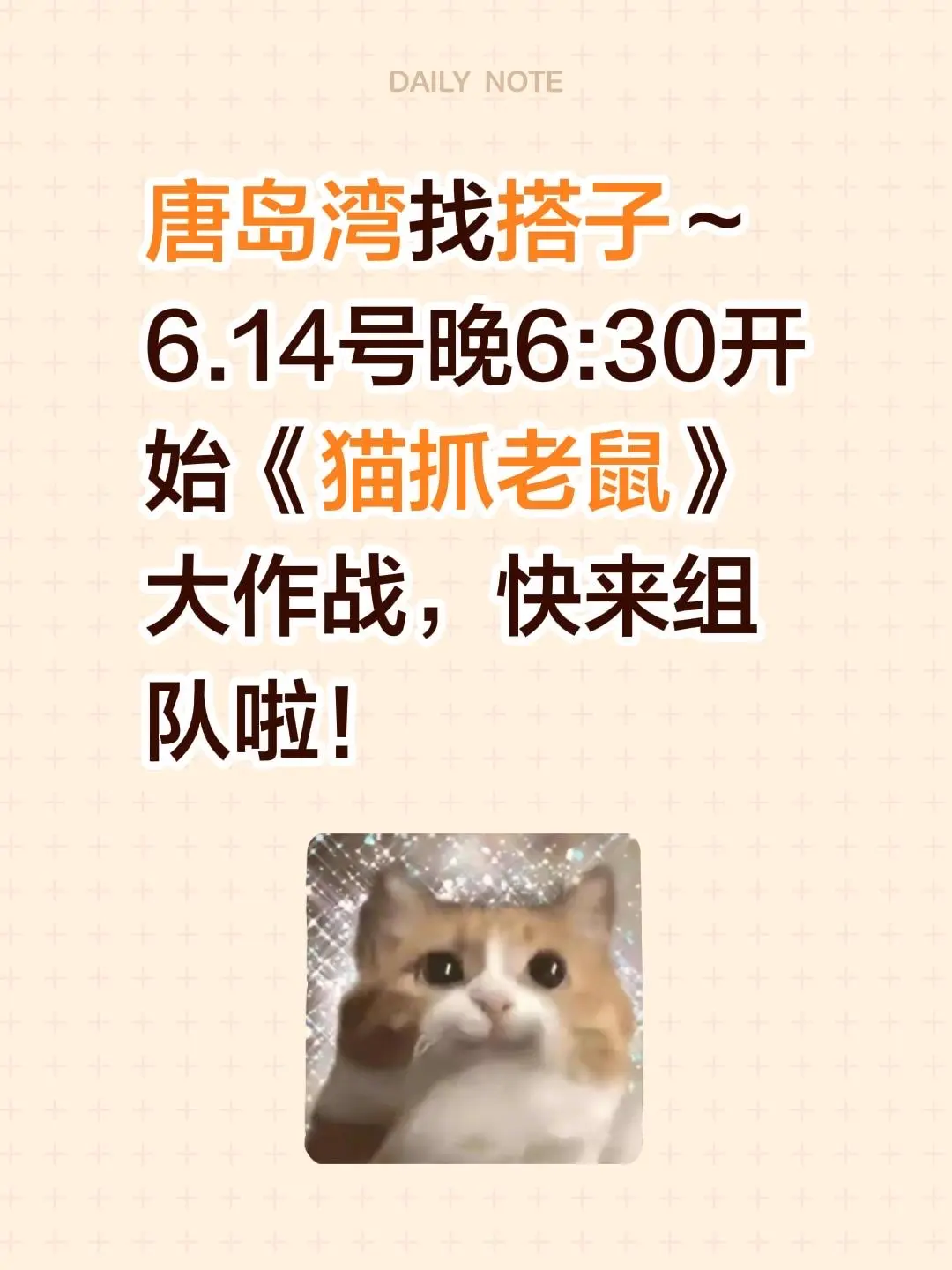 唐岛湾找搭子～ 6.14号晚6:30开始《猫抓老鼠》大作战，快来组队啦！