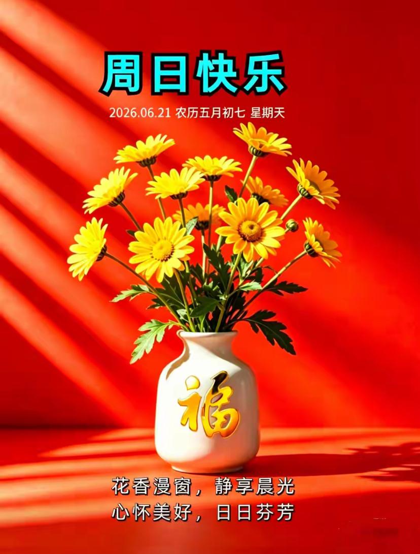 🌺2026./6.21轻迎朝夕.万事舒扬🌺
 
🌿☀️迎着周日柔和的天光，