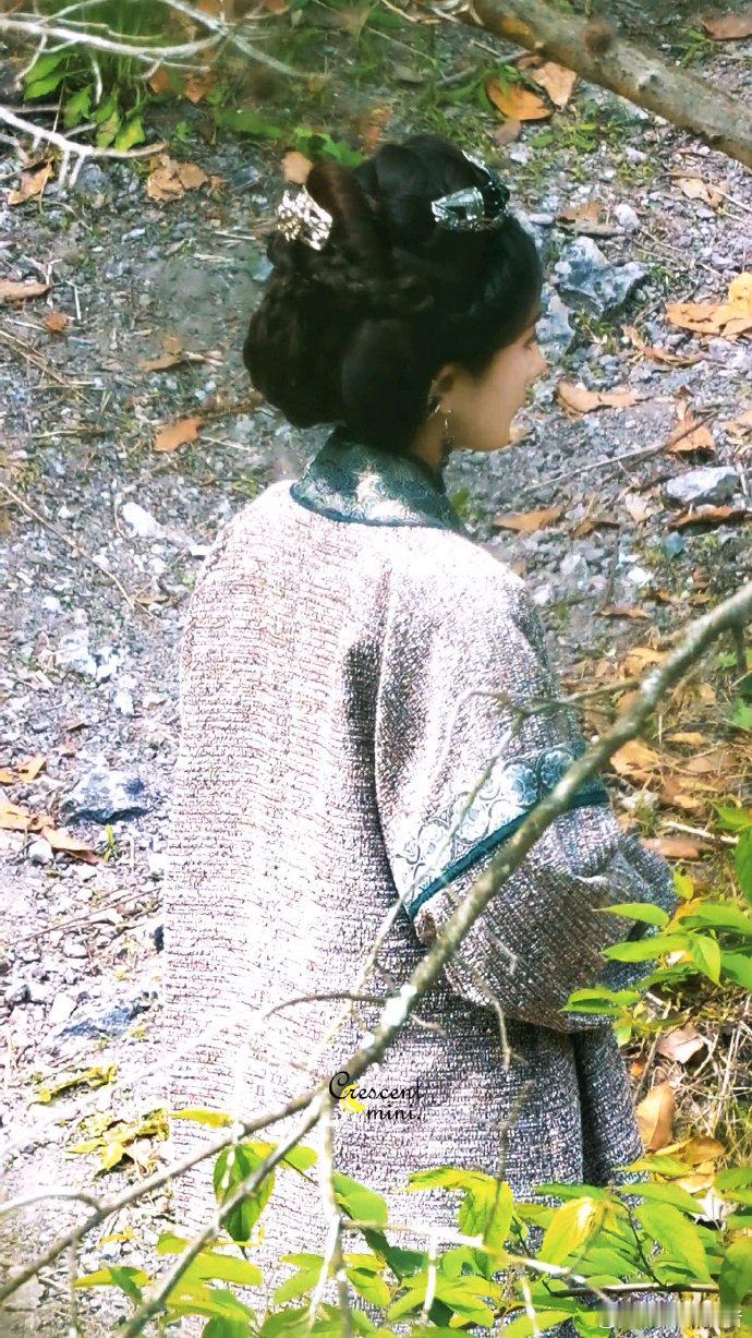 杨幂冯湮儿长袍盘发杨幂素衣盘发端庄感《江山大同》里杨幂饰演的冯湮儿这身长袍盘发造