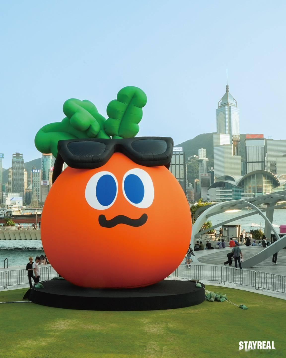 他們是到韓國和香港，去看五月天演唱會嗎❓🥕
