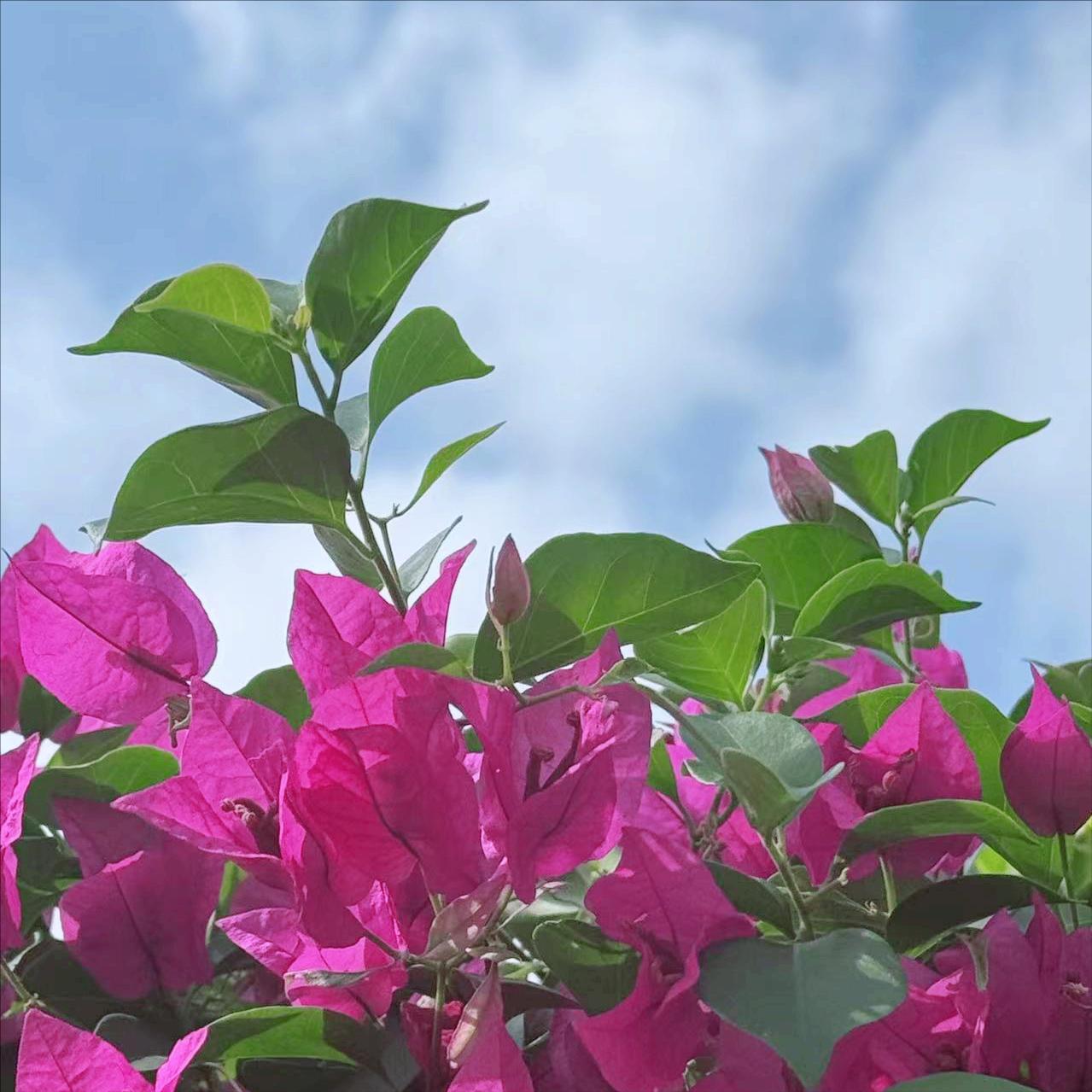 在金融系统工作29年   今年54岁的贺青履新
 
3月31日，该同志履新。
 