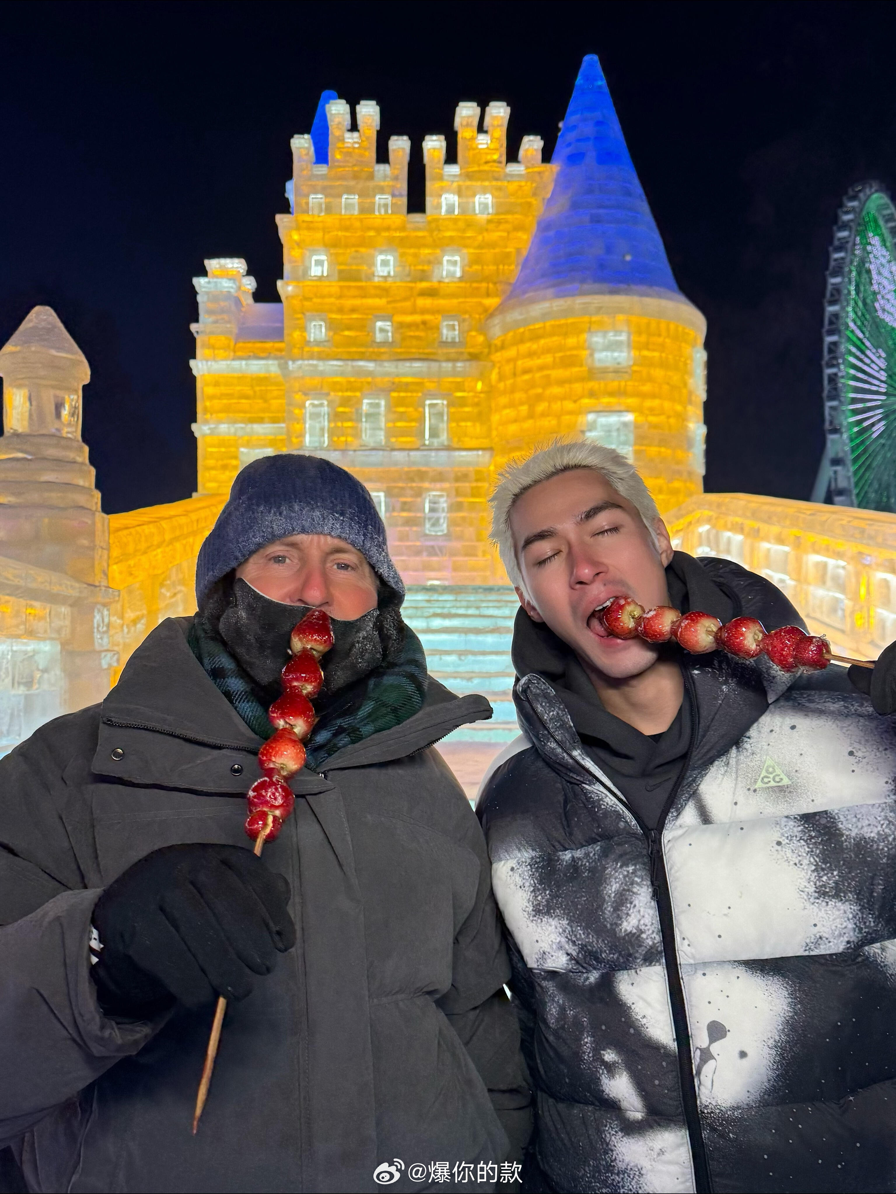 东北大鹅连米卡爸爸都没放过 别人来东北是看雪看冰雕，米卡带爸爸来东北是接受“鹅式