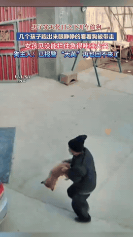 必须严惩！河北，男子回家发现女儿哭了，一问才知道家里狗被偷了，可让他气的够呛的是