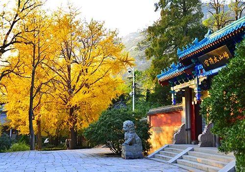 九月，金风送爽天高云淡，正是爬山登高的好时节。

九月的崂山，暑气慢慢消散，秋意