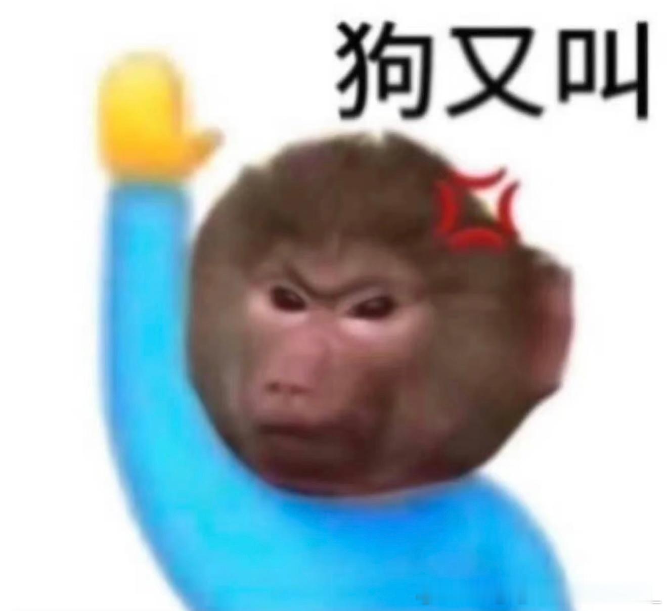 洗脚水你告诉我你们在狗叫什么？你们的戛纳大屏解决了吗？你们被正主承认了吗？哪里来