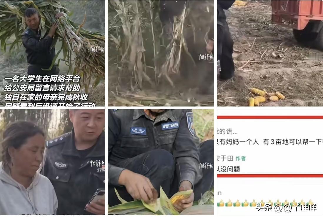 这一幕太暖心了，连人民日报都点名称赞了！一名在外求学的孩子因担心家里的母亲无法收