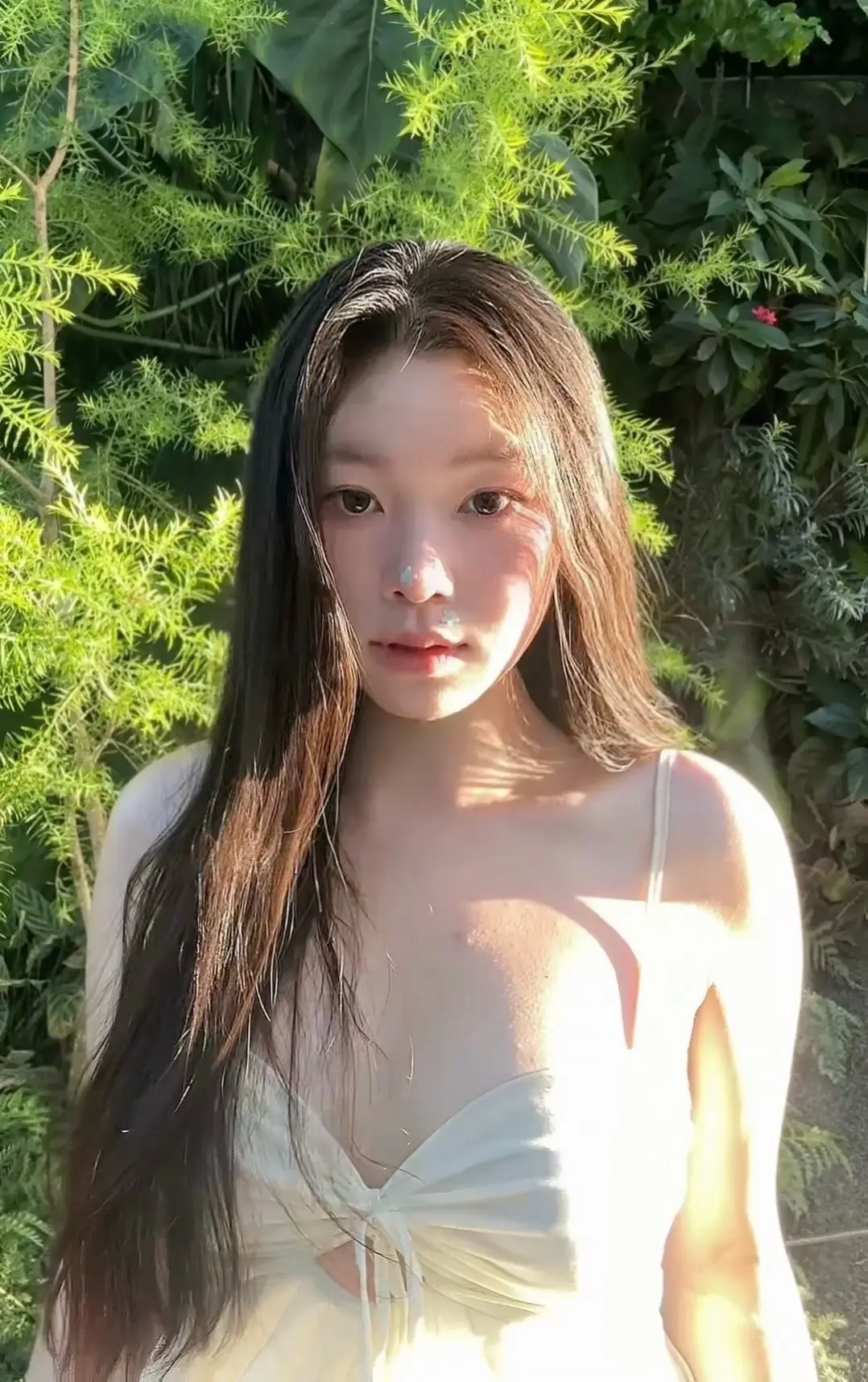 云上森林🌳 📷