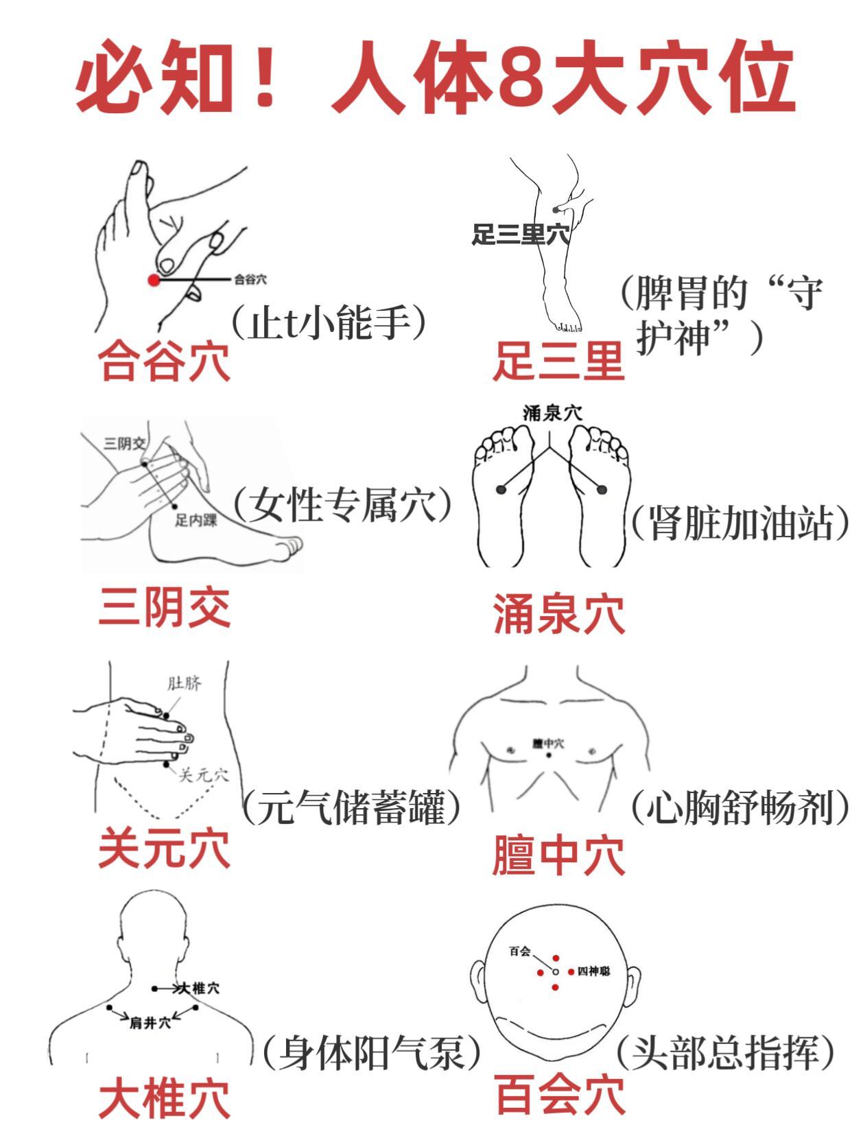 速码！人体8大养生穴位，一穴一功效✨拿走不谢国医的精诚力量 ​​​