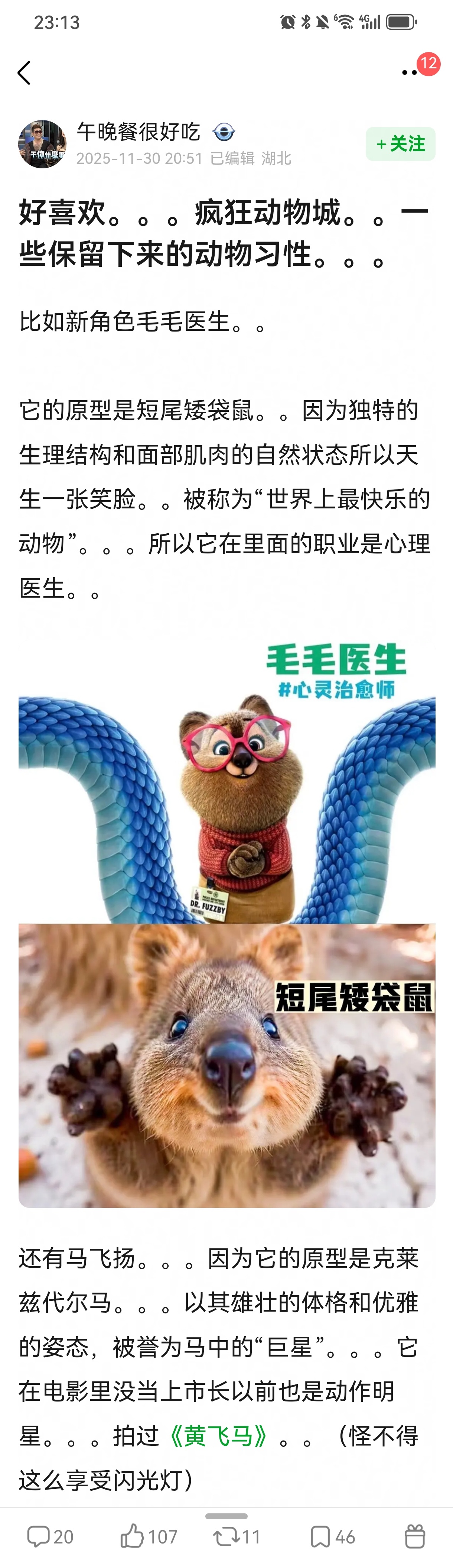 睡前居然在豆瓣看了一张好帖子！《疯狂动物城2》中那些保留了动物特性你以为这只是给