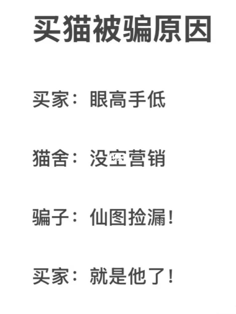谁说不是呢……