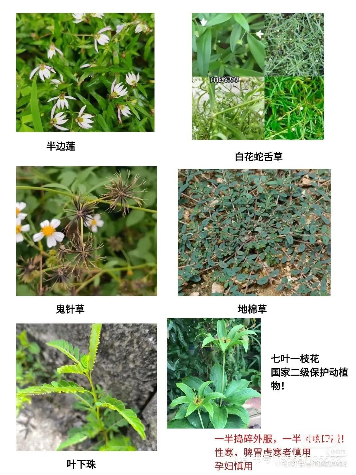 横州急需蛇毒血清有人被毒蛇咬伤 当地毒蛇品种可能有舟山眼镜蛇、银环蛇、金环蛇等，