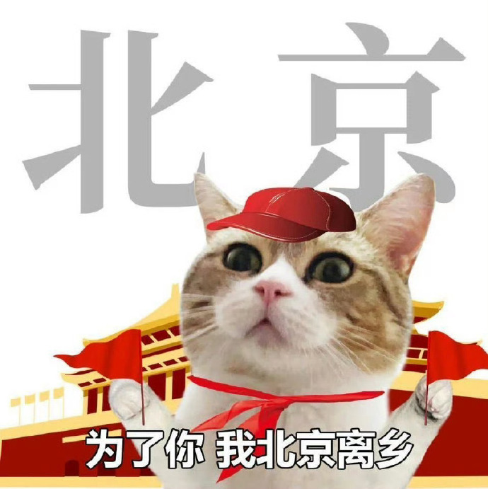 预制了国庆八天的朋友圈国庆出游朋友圈文案- 人生最三万多张体验劵 祝我们都尽兴-