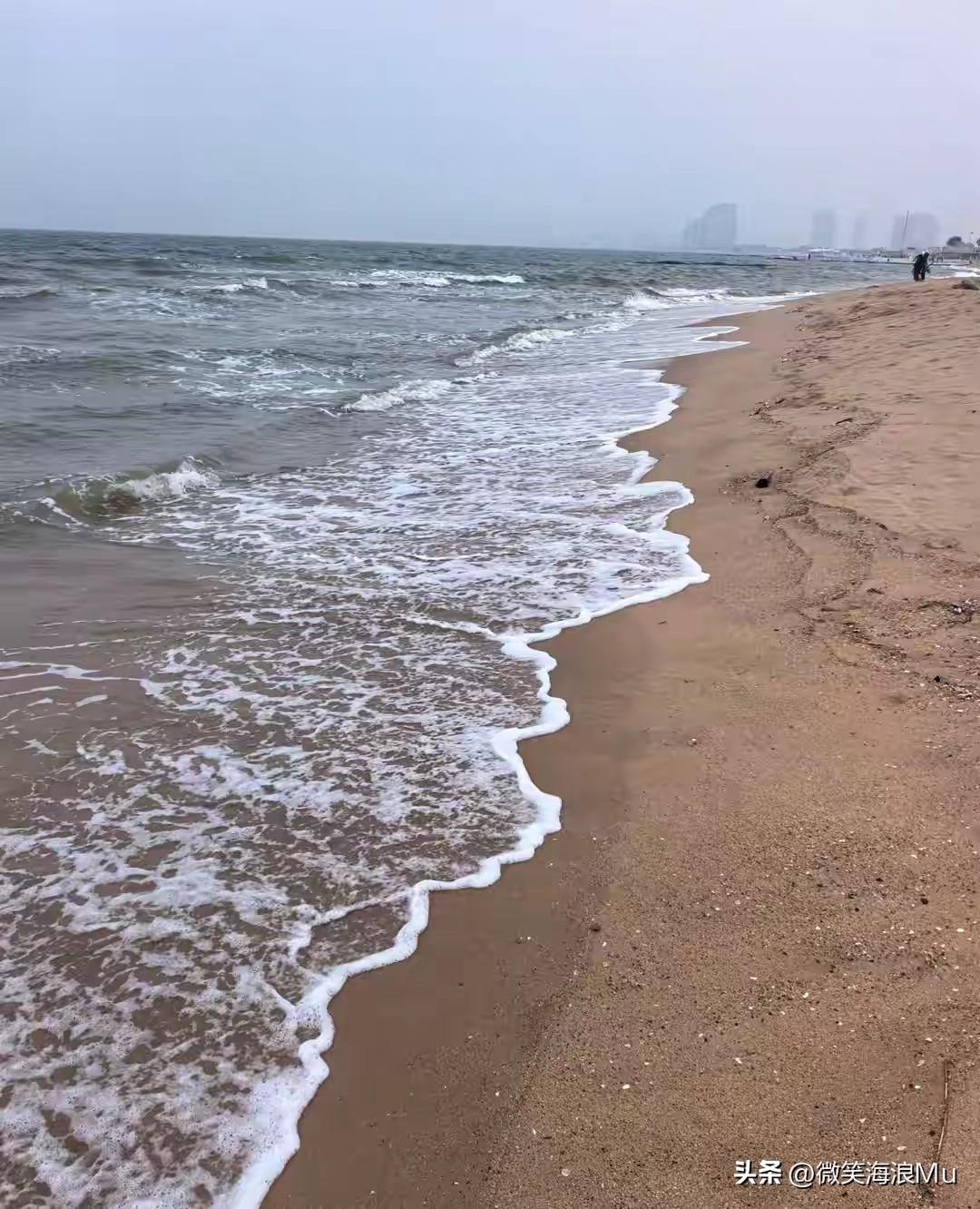 我的家乡渤海小城，经济总量不大，但是没有污染环境相对友好。