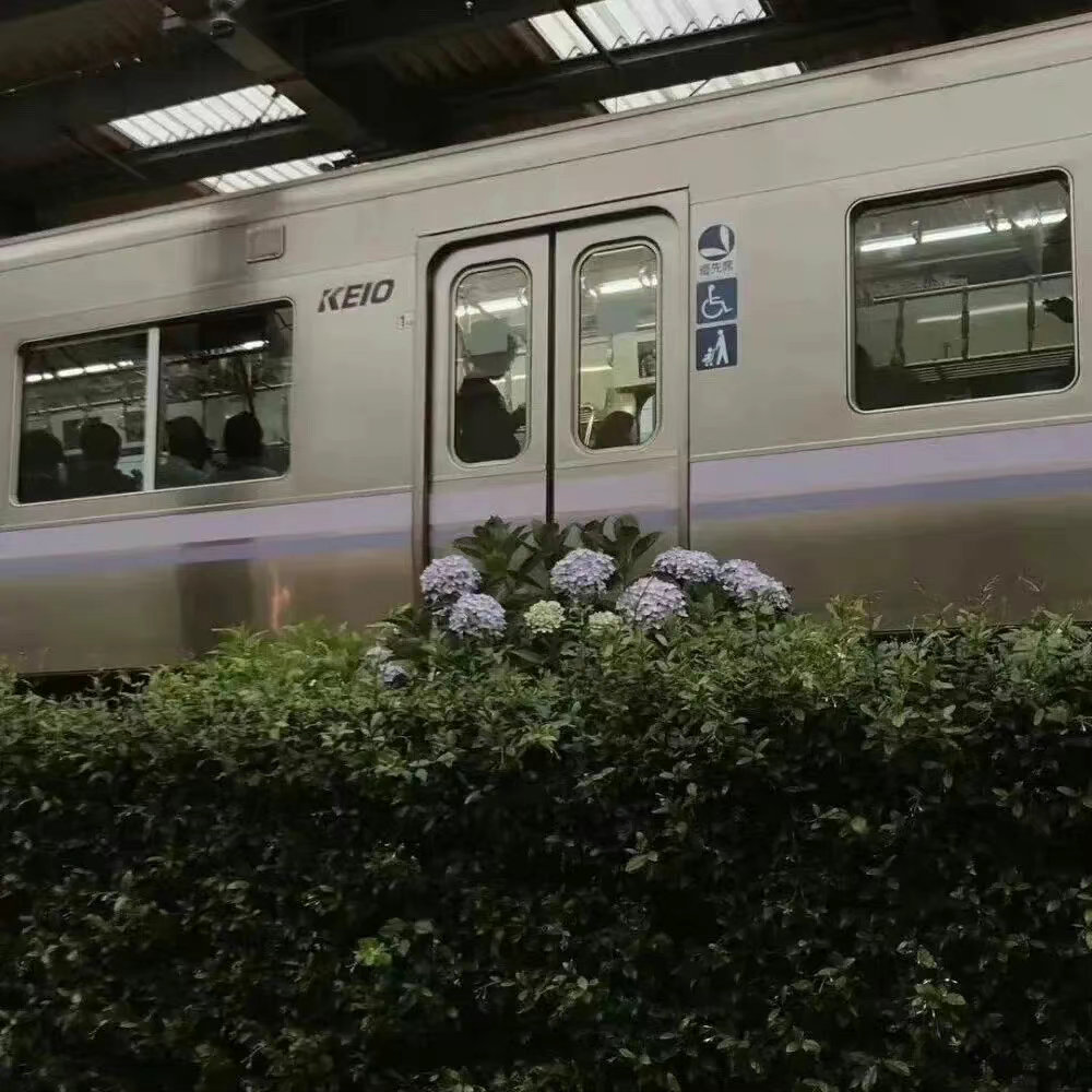 世界是我的食物。人只用少量时间进食，大部分时间在消化，独处就是我消化世界。丨周国