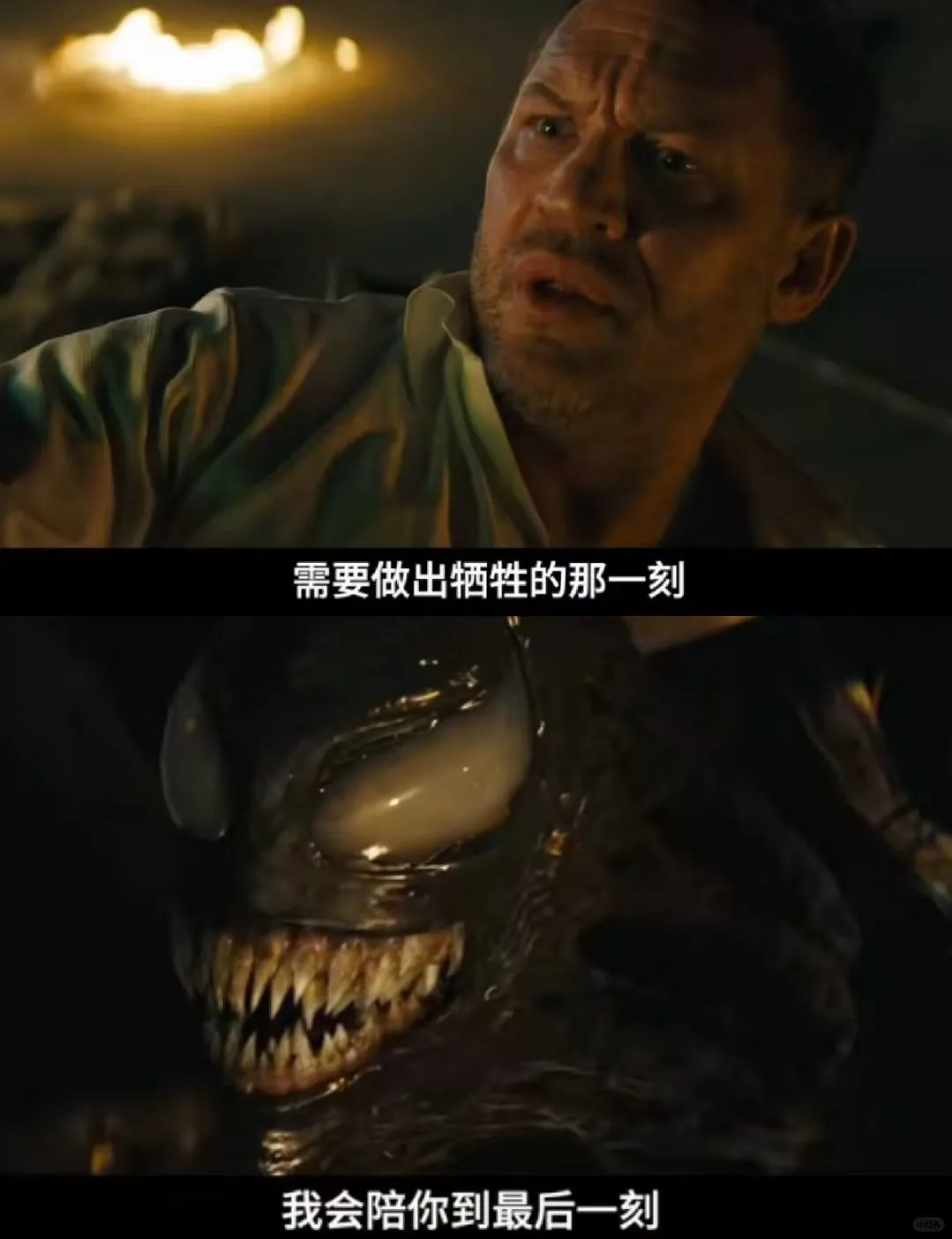 毒埃实在太好磕了‼️暖男怂包❌霸道忠犬❗