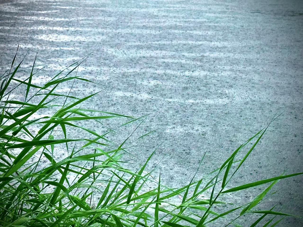 我的今日状态：😁轻松愉快
我这里的天气：🌧下雨
    一场酣畅淋漓的雨
 