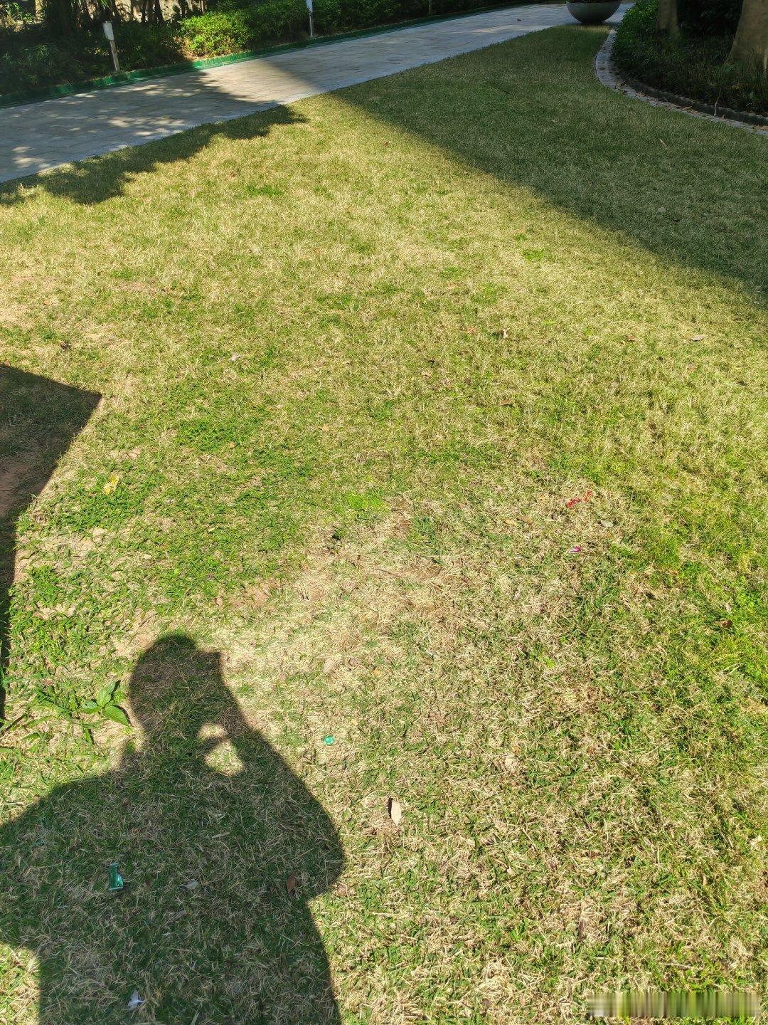 中午出太阳了，赶紧下楼运动一下。 