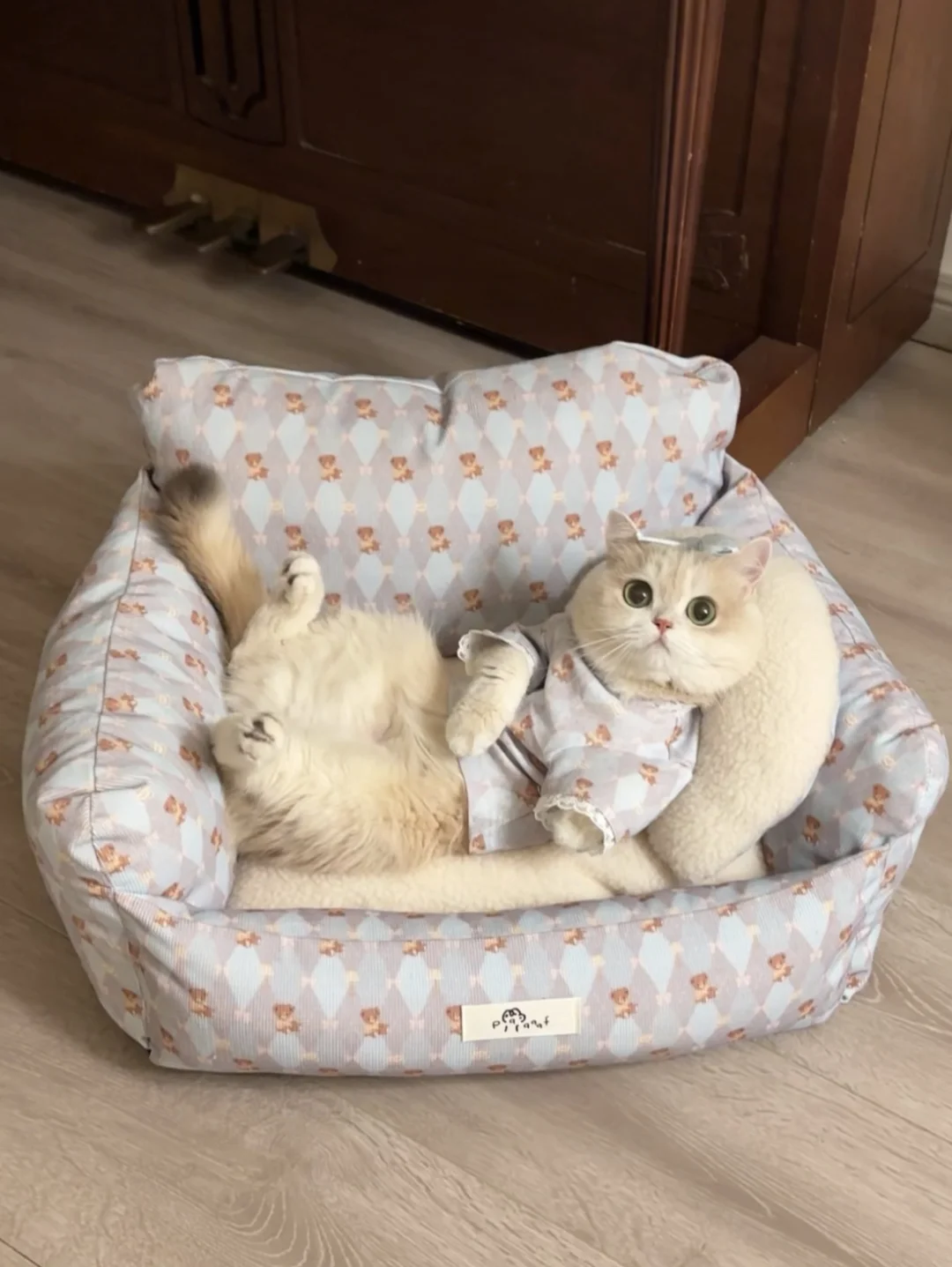 人！要不要来咪的床上休息一下！