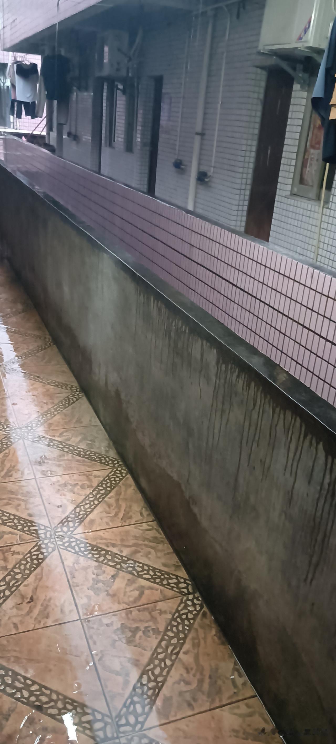 今天下午6点半左右，老天终于突然下雨了。

这几天，东莞开启了蒸笼模式，热的不敢