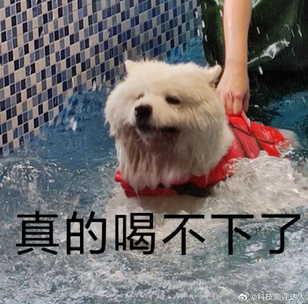 游泳 腺病毒野外游泳也太大胆了，里面啥脏东西都有，连正常的泳池我也不敢去，就算会