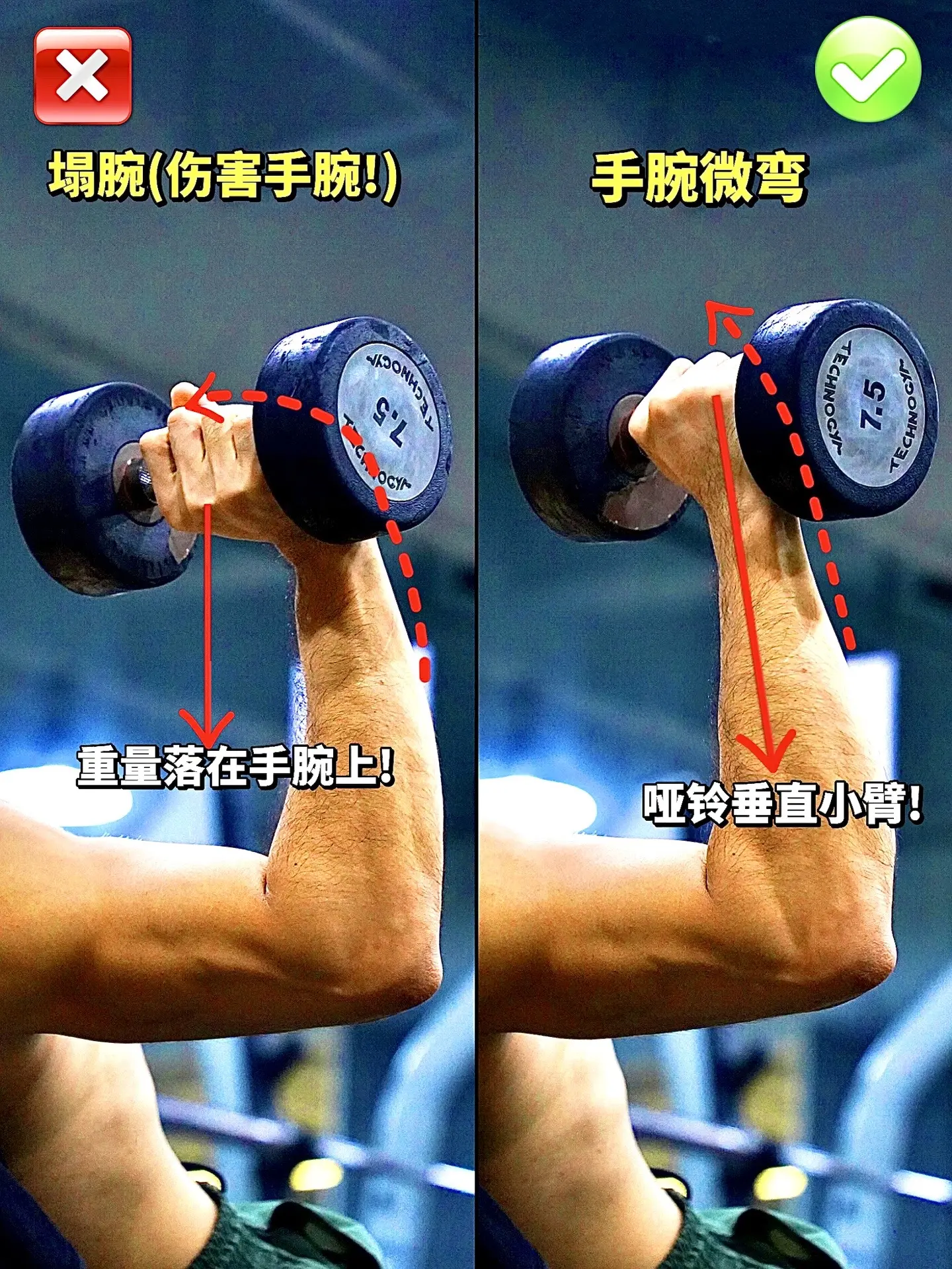 上斜哑铃卧推全方位解析！上斜哑铃卧推不会做？找不到上胸发力感？看看这些...