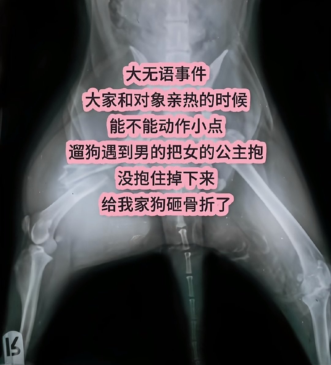 好小众的意外? •̫͡•ʕ 