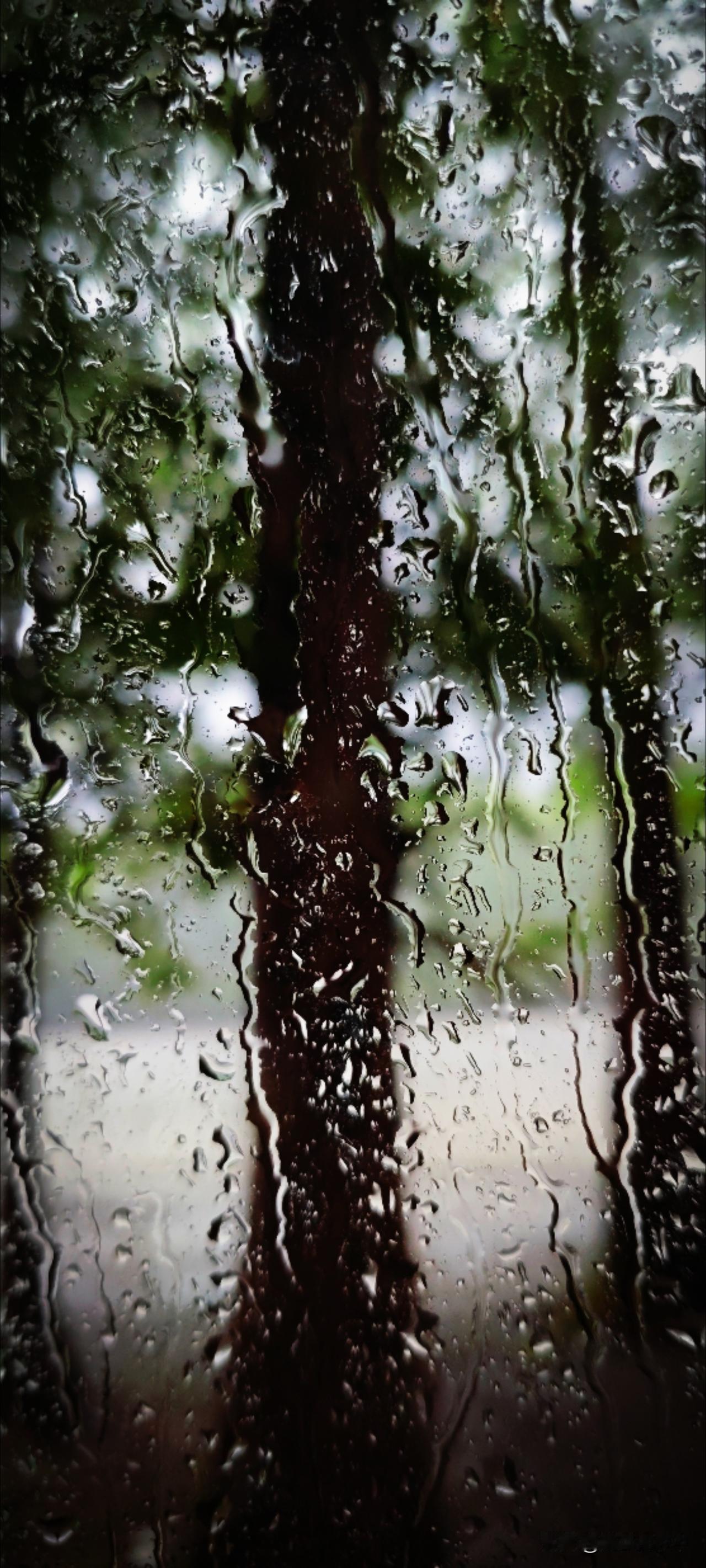 友人望向山顶，“山戴帽，有雨。这戴全了，有大雨。”大口大口的风儿吹了又吹，突然变