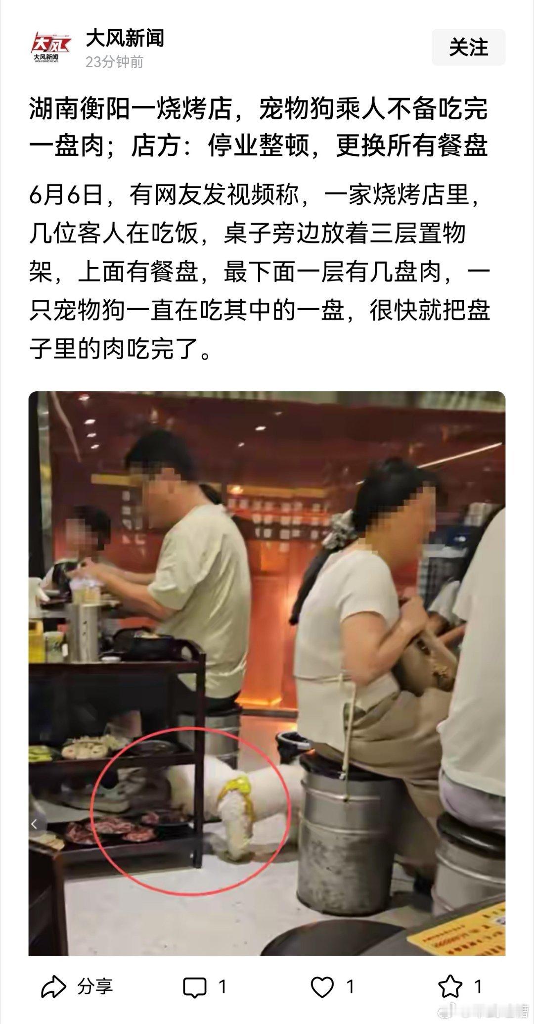 让狗进的餐厅，反正我是坚决不会去的把狗叫儿子女儿的，也绝对远离 