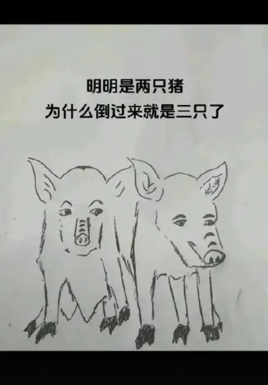 为什么？？？？