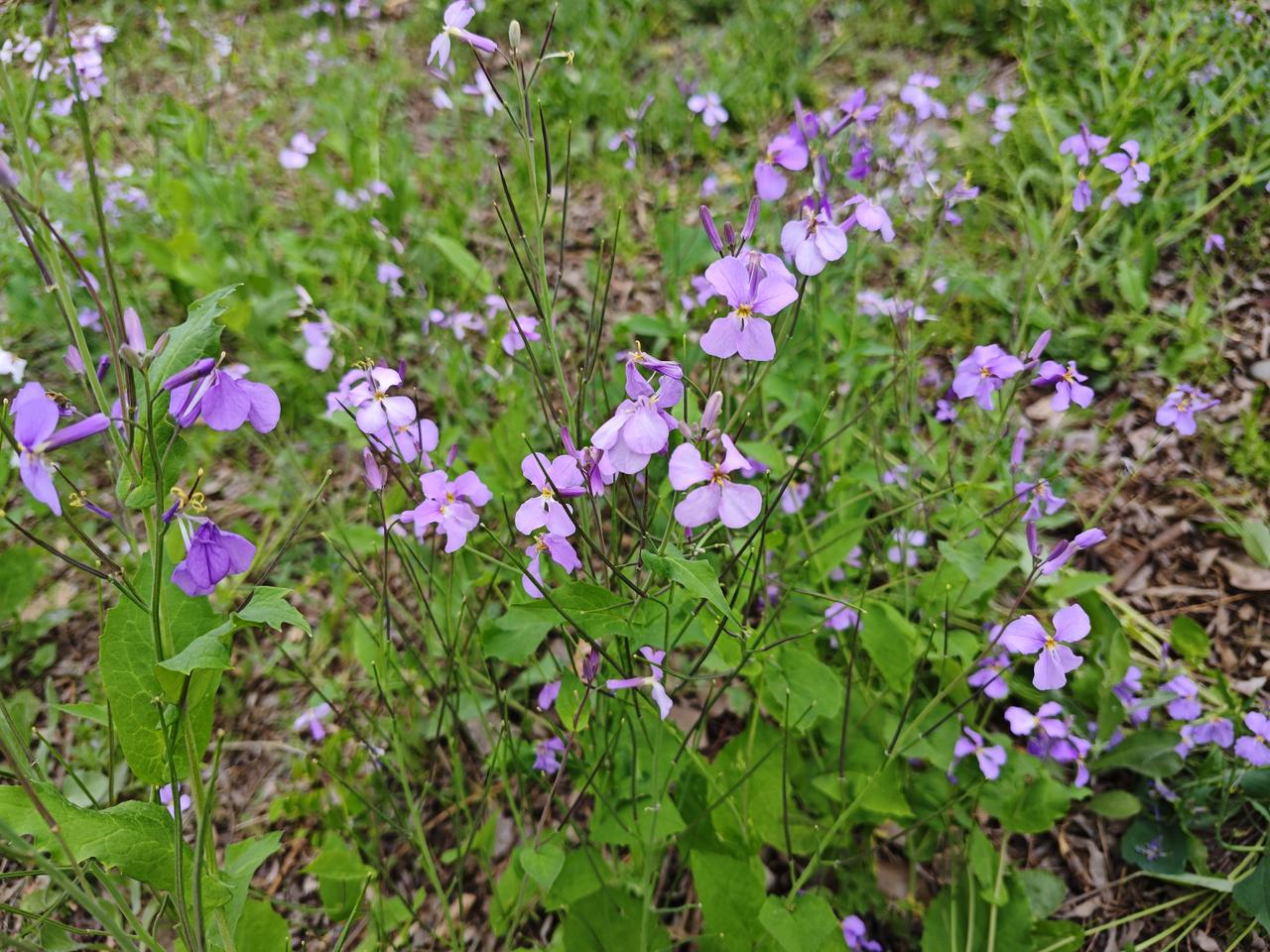 李书福在全球甲醇电动生态联盟成立活动上，吉利集团董事长明确表态，甲醇能量密度是锂
