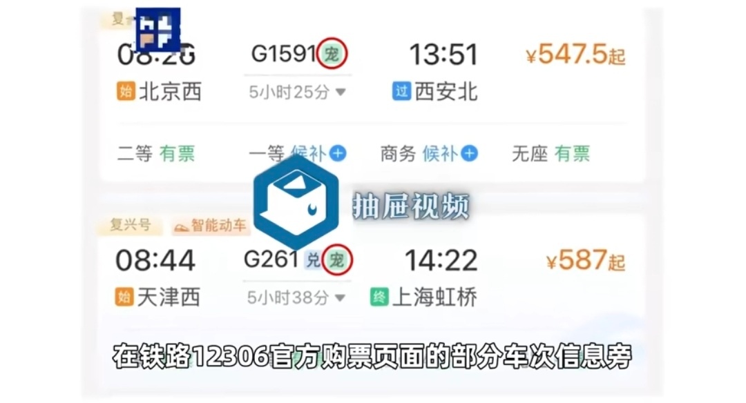 12306部分车票带宠字 挺好的，让喜欢宠物的旅客在一起，各自开心，互不打搅 1