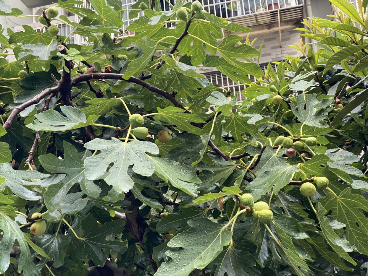 我的今日状态：😁轻松愉快
我这里的天气：☀️晴天