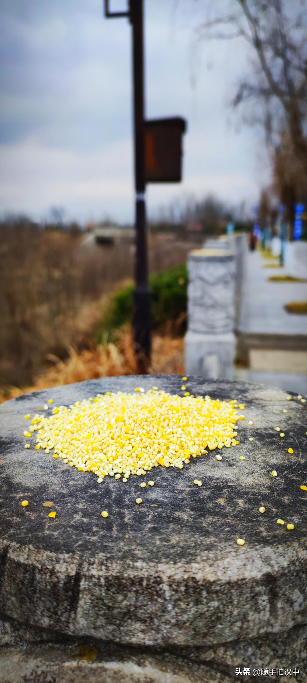 新年生活图鉴三月，是诗里的月份。和风烟雨，草长莺飞。汉江湿地公园的栏杆柱头上洒着
