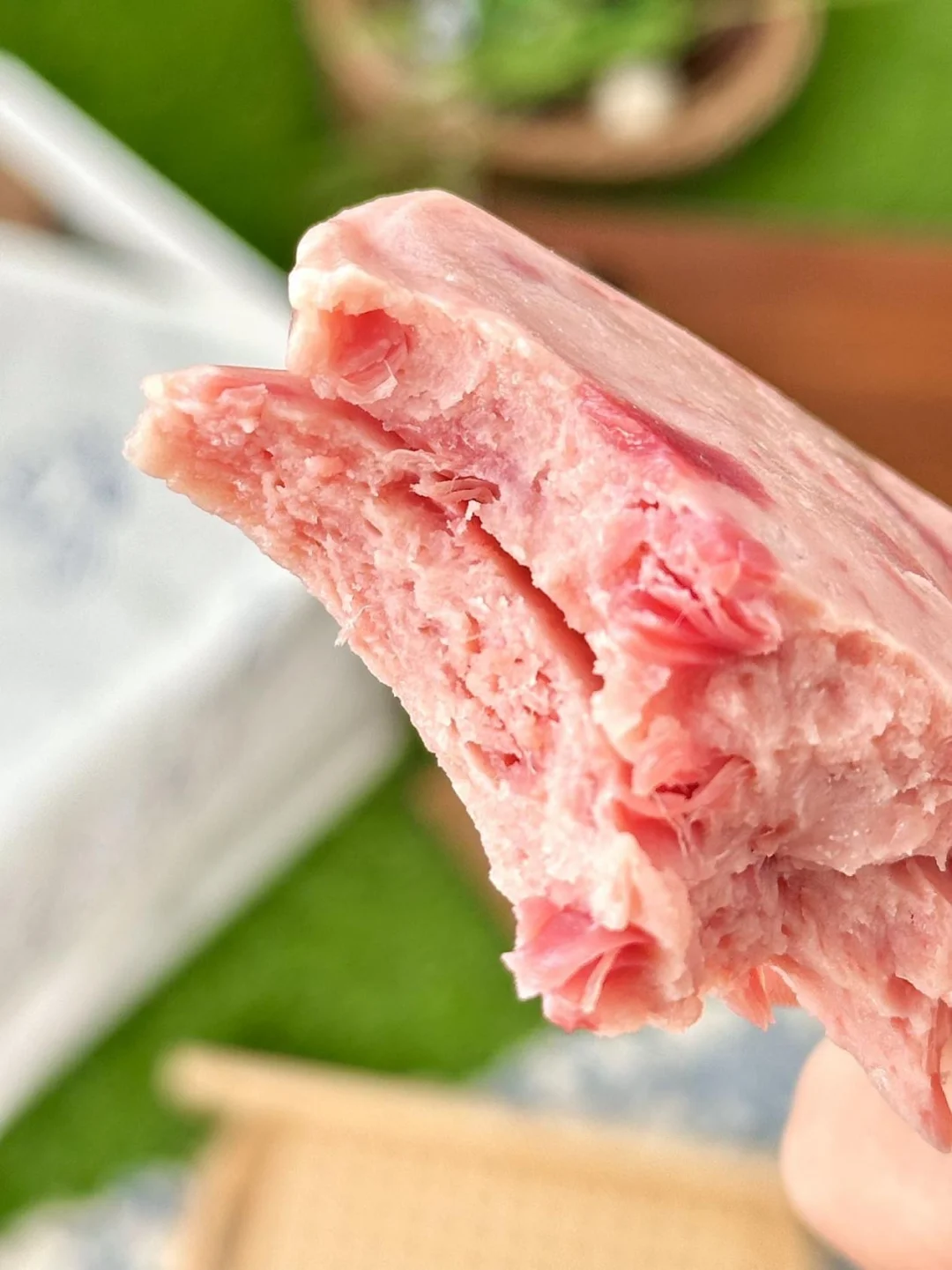 🌿周末野餐高光时刻，被这袋肉肉承包了！