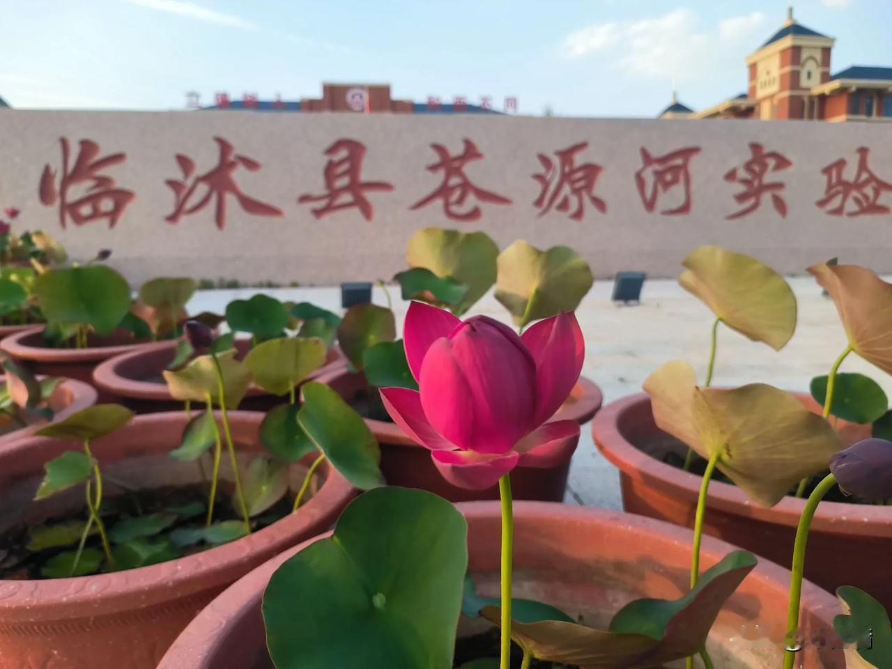 昨天了解到一个数据，我们学校中考体育平均分名列公办学校第一名，排在我们前面还有兴