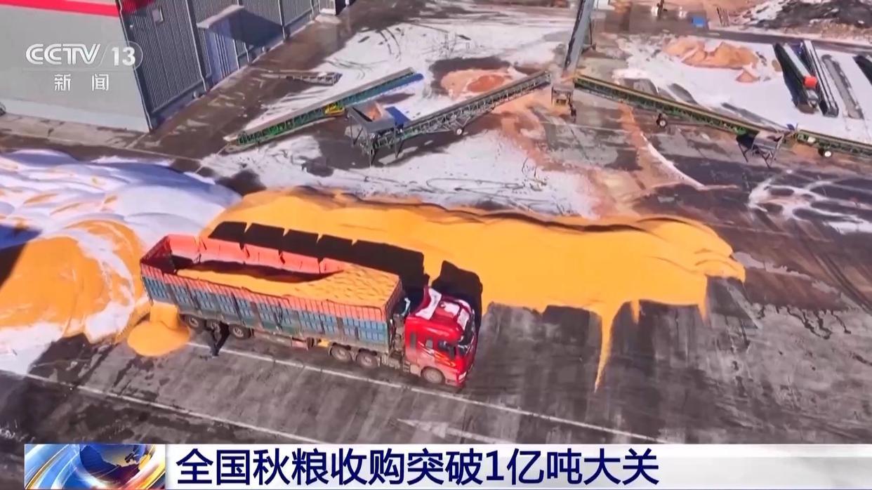 【全国秋粮收购破亿吨创三高态势】国家粮储局最新数据显示，2025年秋粮收购量已超