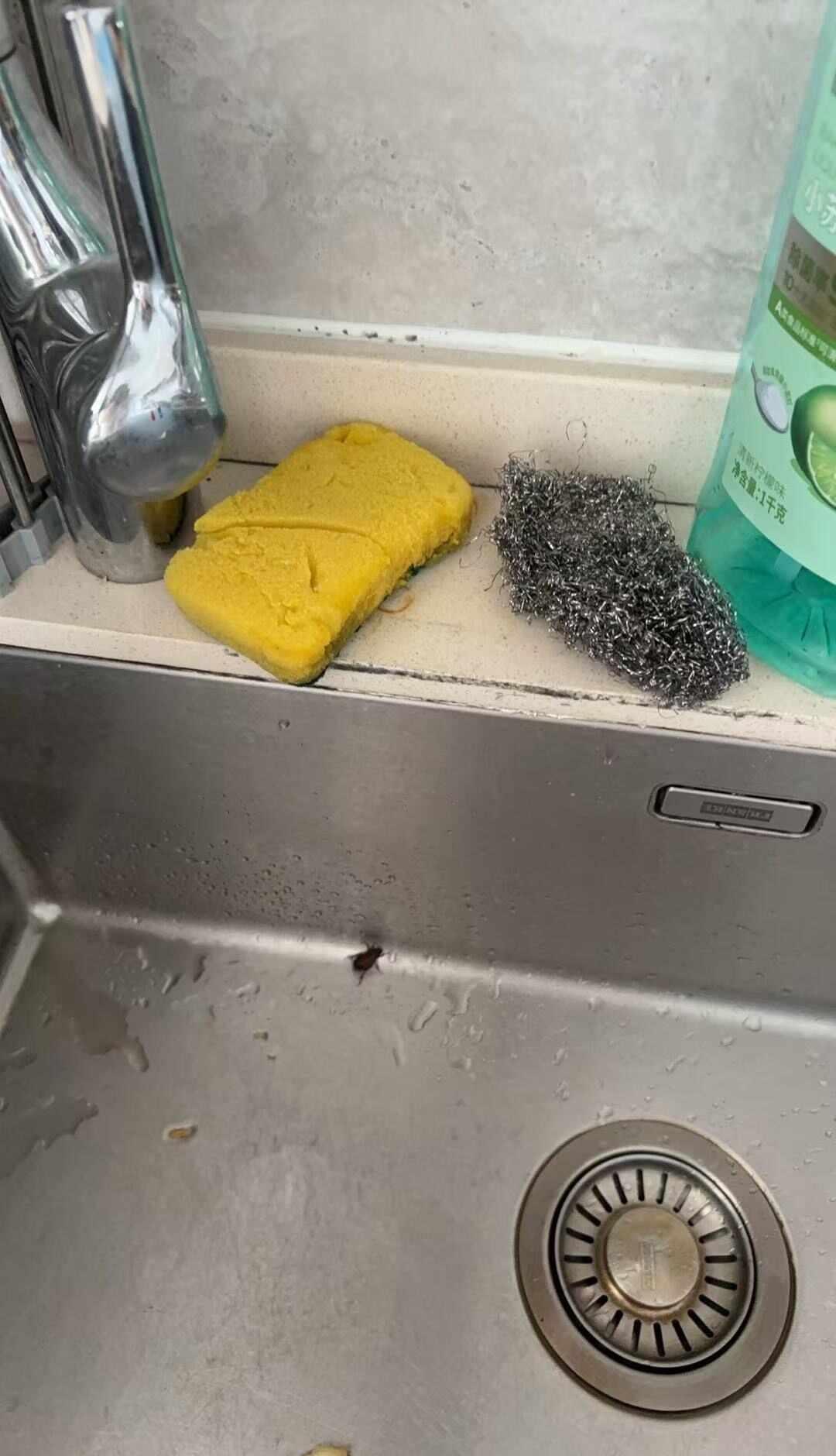 家里有这种虫子怎么办！！！
广东 广州 虫子 虫子滚出地球 昆虫 卫生 杀虫剂