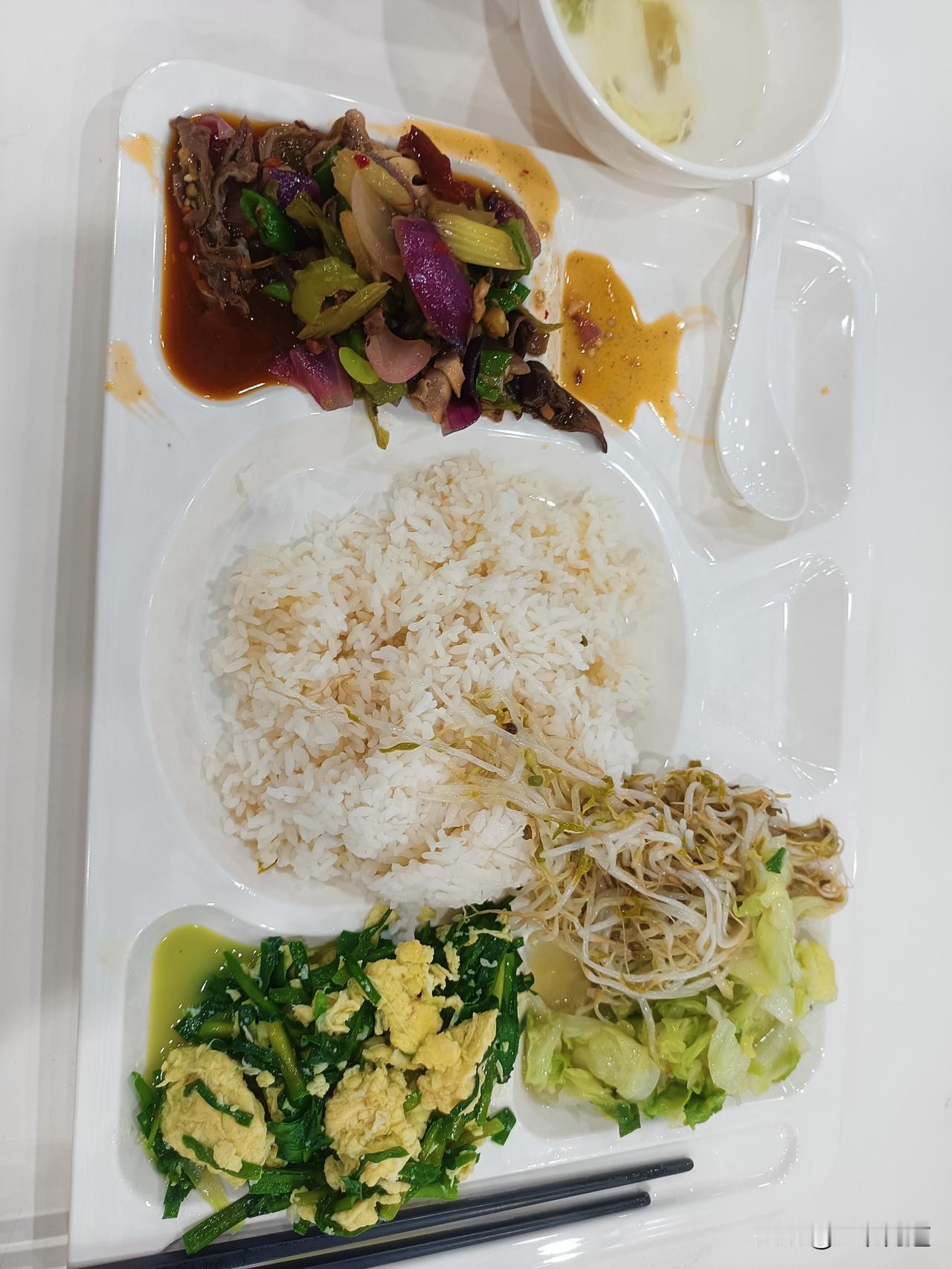 这么一份食堂饭菜，豆芽，菠菜，韭菜炒鸡蛋，洋葱青椒鸡杂，免费米饭不限量，免费清水