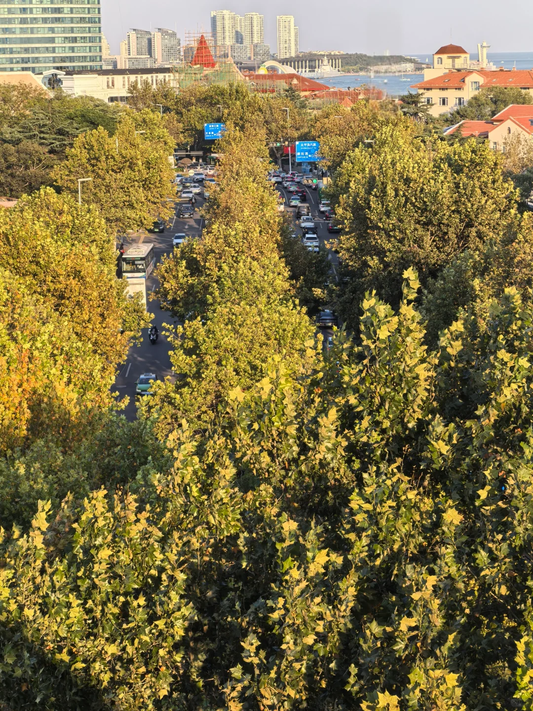 城市中的风景 远眺青岛太平角公园
