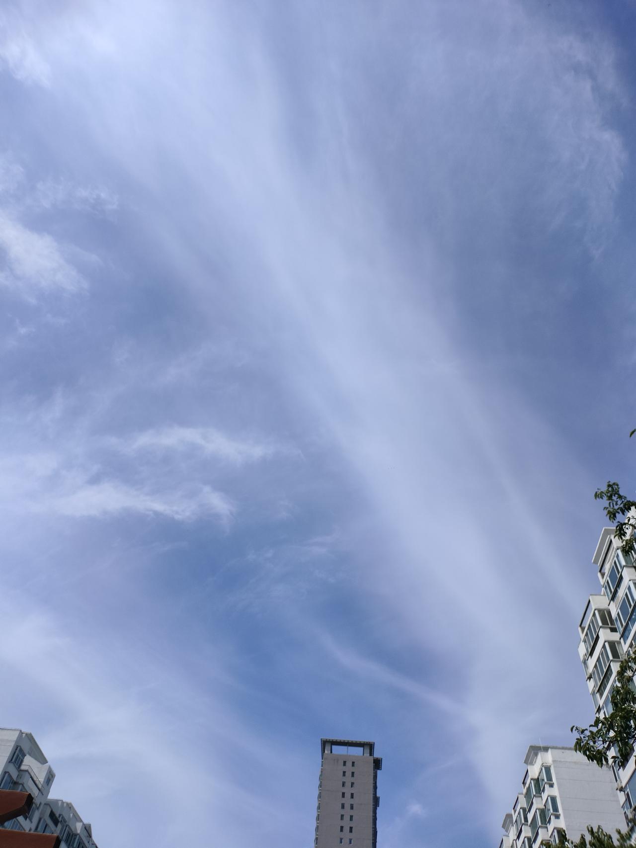 秋日生活打卡季最喜欢秋天的天空，秋高气爽，抬头看看天空，特别高，心也敞亮。用蓝色