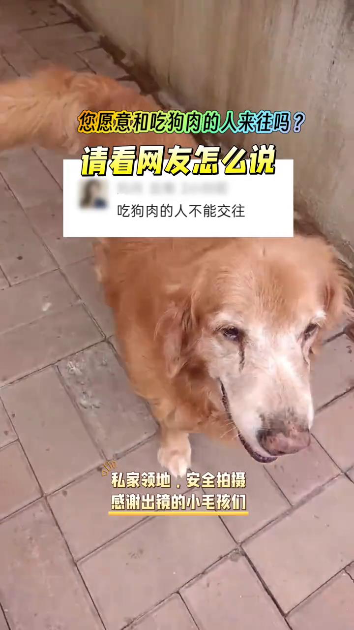 您愿意和吃狗肉的人来往吗？请看网友怎么说。
吃狗肉的人不能交往。感谢出镜的小毛孩