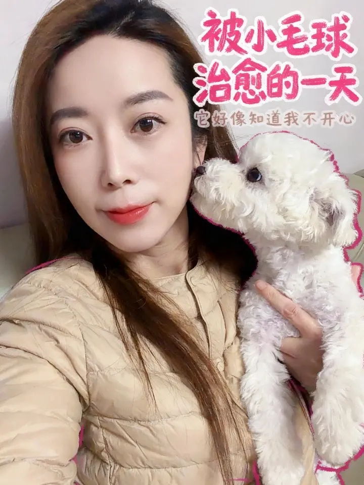 我和我的比熊