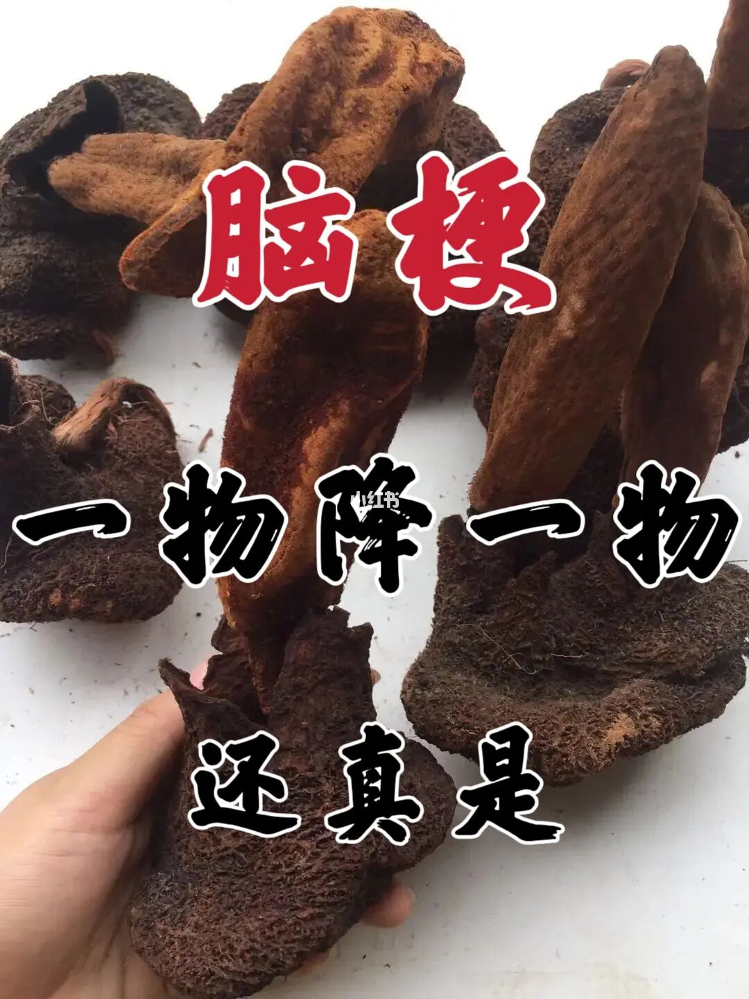 脑梗患者存在，一物降一物，真没说错！