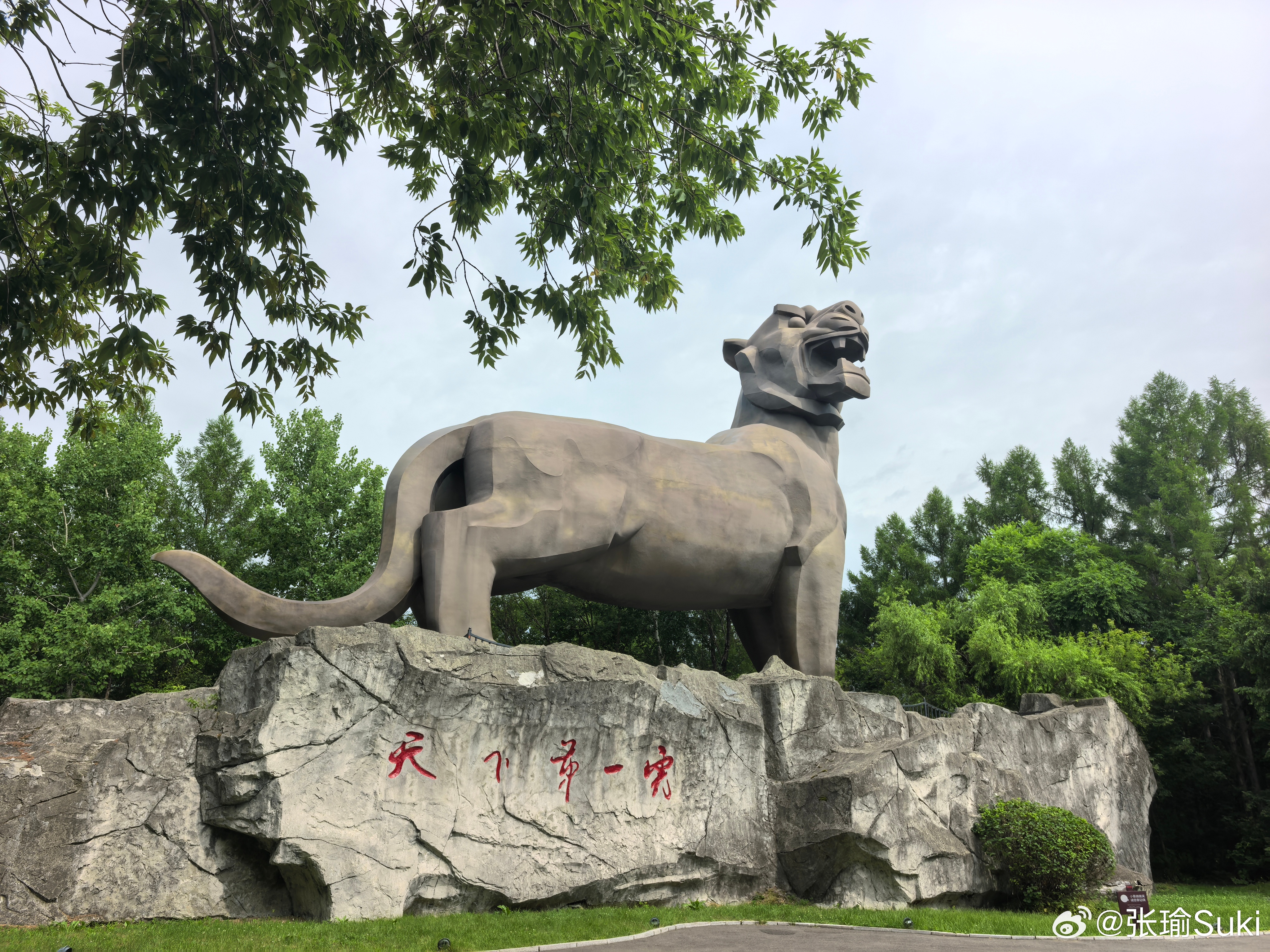 今晚的回京航班已经被我搓冒烟了。取消了两趟，延误了两趟，买了四次，好在是天气的锅
