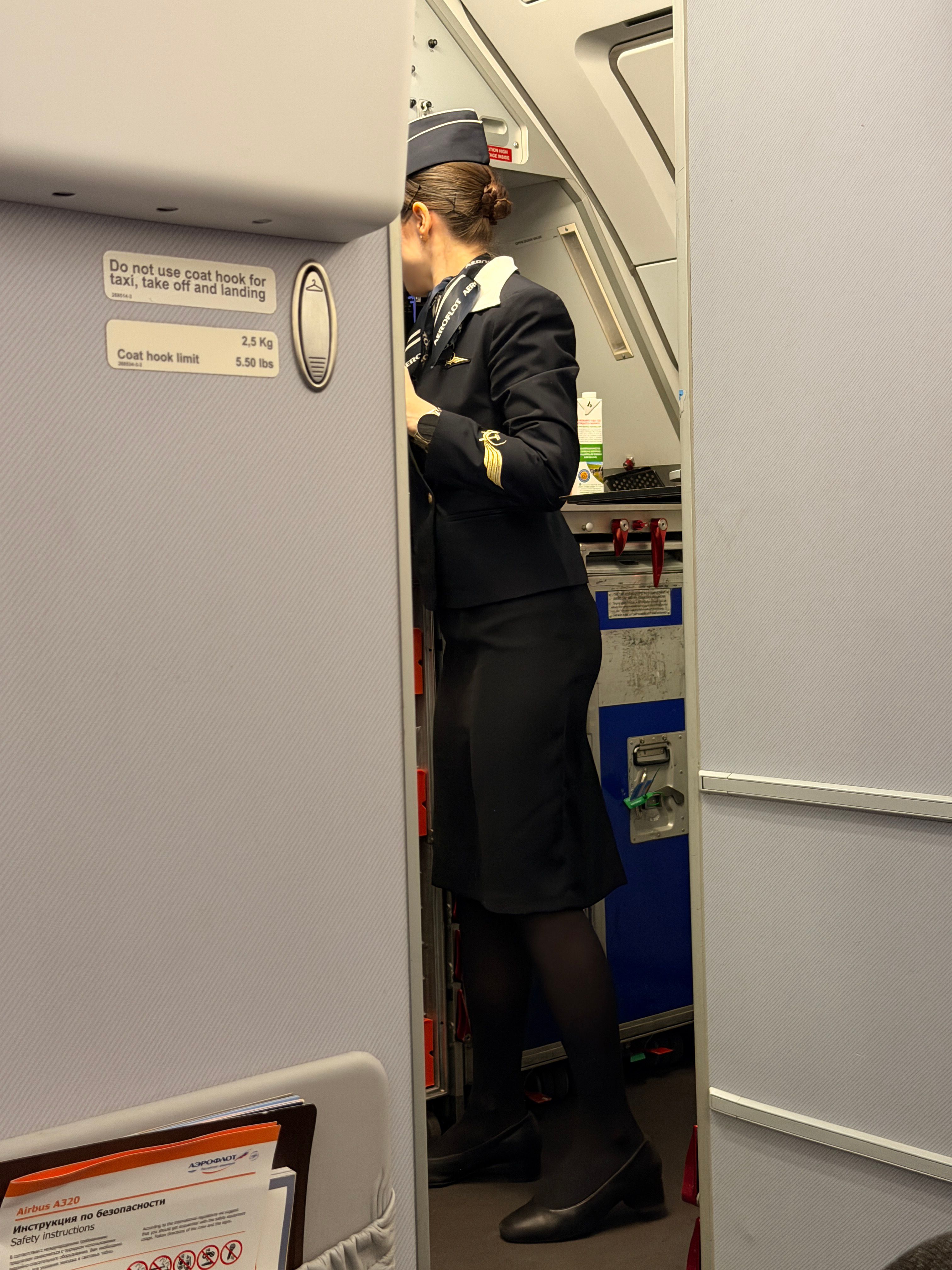 今日份俄罗斯空姐，侧颜绝美！落地莫斯科啦🛬图456就是莫斯科的郊外哪个粉丝bb