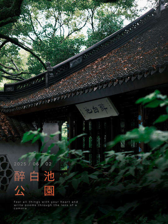 雨后的醉白池，像极了诗中的江南