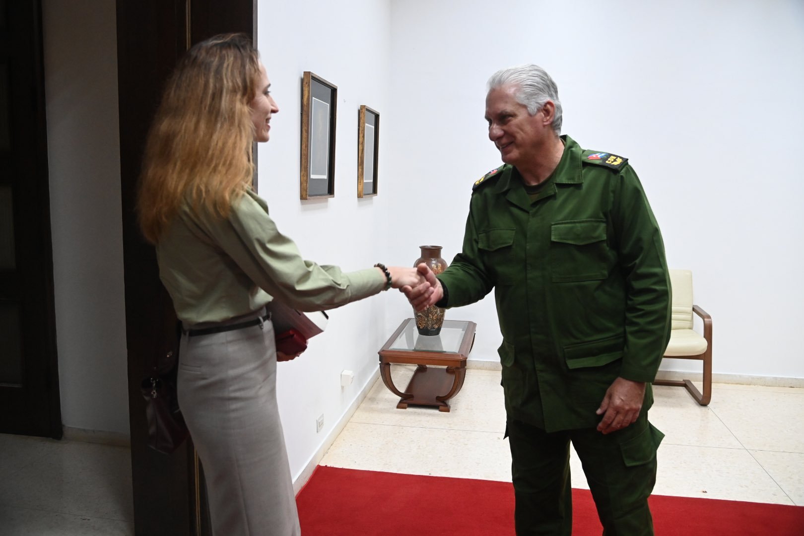 🔴 古巴共产党中央第一书记、古巴共和国主席迪亚斯-卡内尔在接待联合国人权理事会