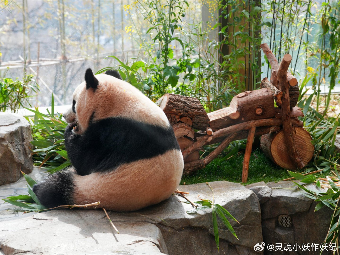 睿宝吃饭也要守着心爱的小摩托 