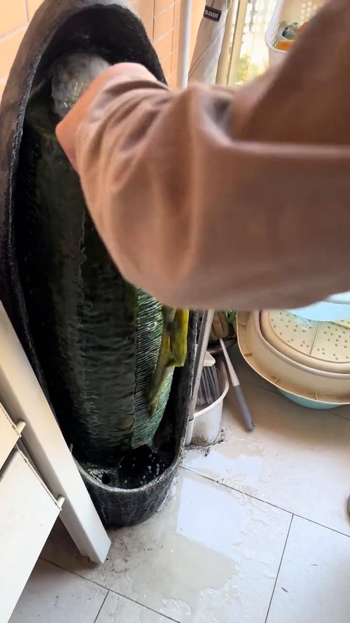 各位好，欢迎来到一点一度的私青台环节。大家看住，录完没？录完这个袋来装东西，你黐