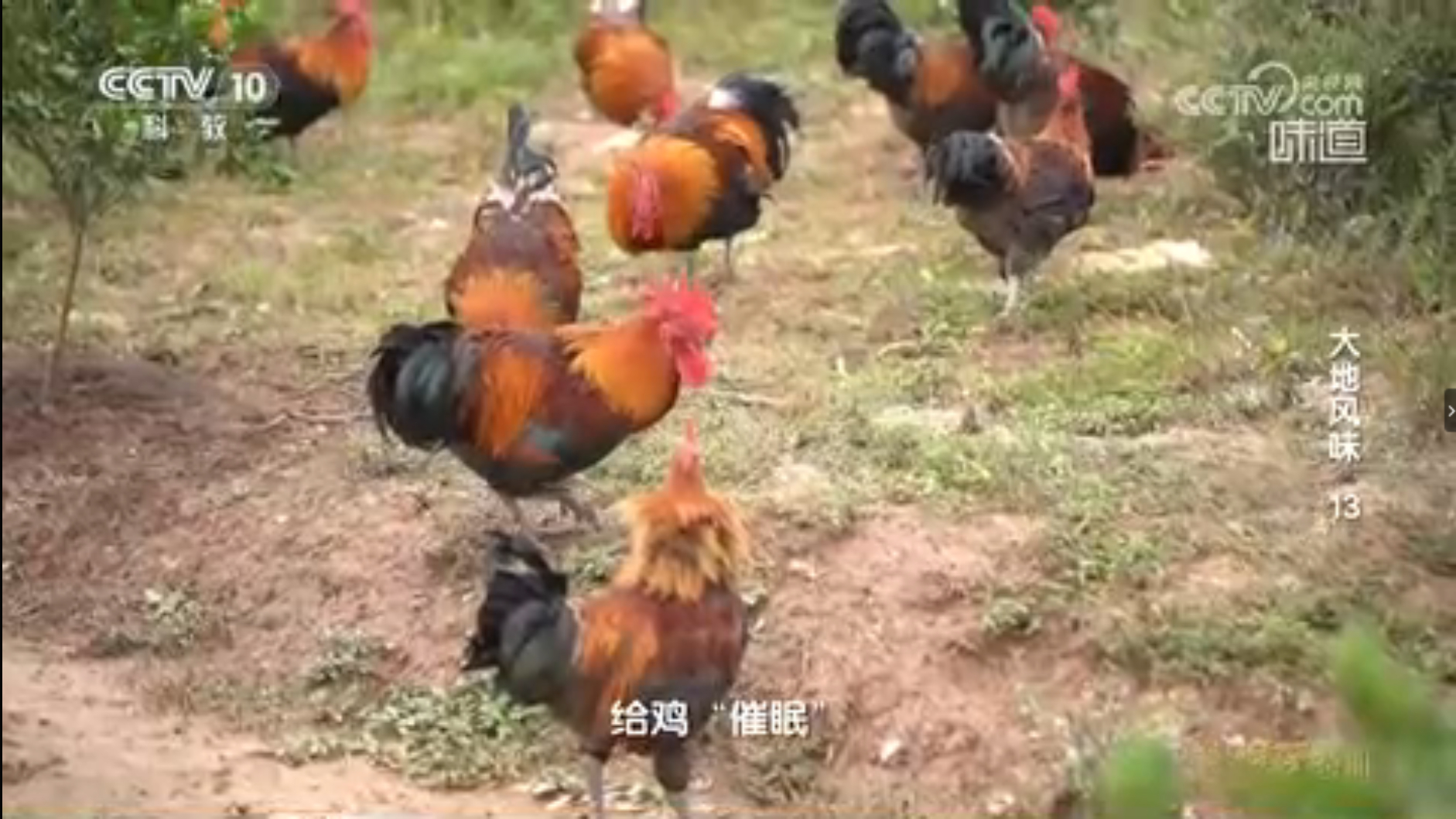 催眠！ 